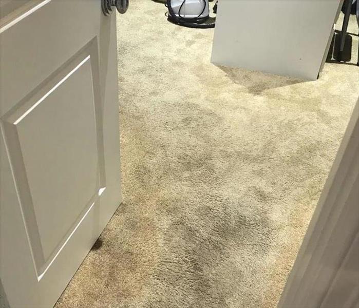 Wet carpet in large closet