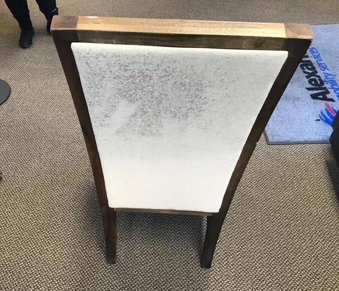 Mold on Chair