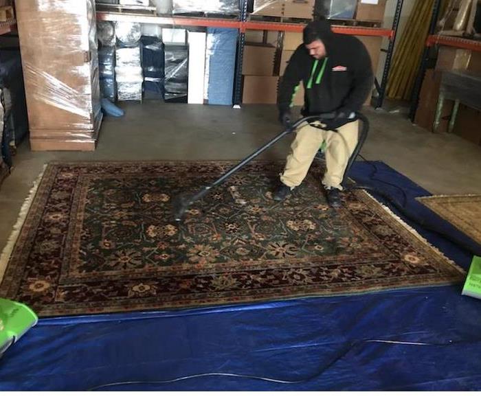 Carpet Cleaning