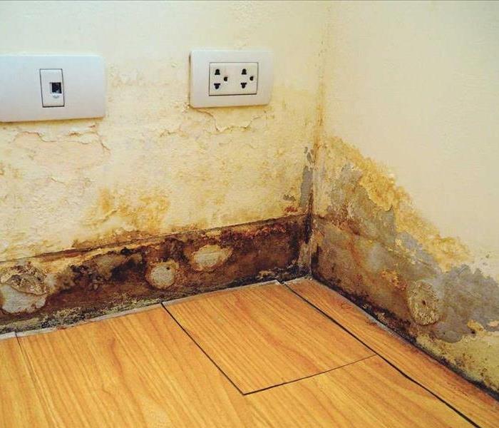 Signs of water damage